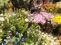 -AEON永旺(东方宝泰店)