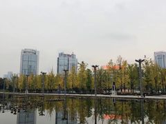 -百林公园-两江幸福广场