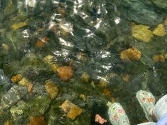 -银沙滩浴场