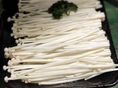 -老灶堂文创火锅(文艺路店)