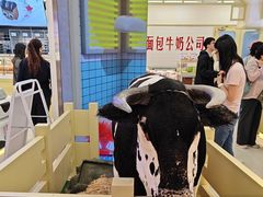 -红星前进面包牛奶公司(君太店)