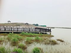 -南大港湿地风景区