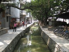 -小洲村