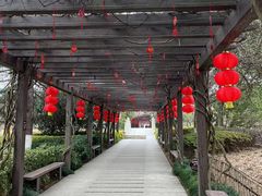 -白马涧龙池景区