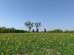 -同里国家湿地公园