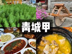 -青城甲(青城山店)