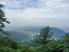-惠山国家森林公园