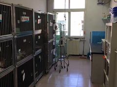-北京观赏动物医院·24小时大型综合·猫专科·异宠专科