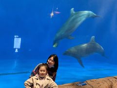 -华夏文旅海洋公园