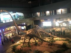 -自贡恐龙博物馆