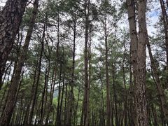 -Club Med地中海俱乐部·桂林度假村