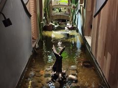 -邈墨茶馆(凤起路店)