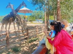 -大连森林动物园