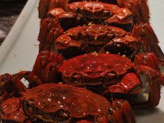 -南京大牌档(中关村领展广场店)