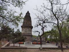 -云岗森林公园