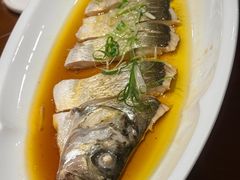 -潇湘甲鱼村(清河店)