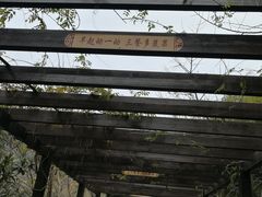 -九龙潭景区