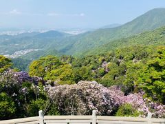 -梧桐山风景名胜区