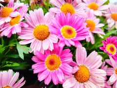 -百伦百货(简阳店)