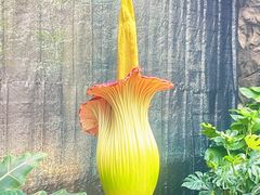 -北京植物园-展览温室