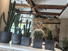 -蜜桃餐厅·伴山(湖滨商业街店)