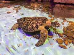 -波塞冬旅游度假区