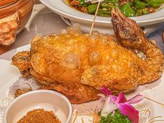 -唐猫庭院·千年陕菜(大唐不夜城店)