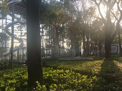 -北外滩滨江绿地