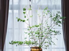 -子福慧(虹桥店)