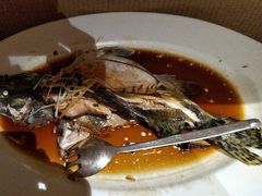 -豪廷轩中餐厅·特色云南菜(温德姆至尊豪廷大酒店)