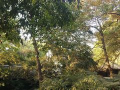 -龙井壹号·茶缘山景宴(龙井村店)