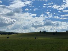 -塞罕坝国家级自然保护区