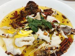 -大鸽饭(马王堆店)