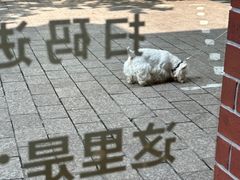 -星巴克(红房子店)