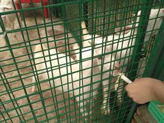 -同里湖度假村(二期店)