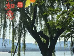 -杭州西湖柳莺里酒店