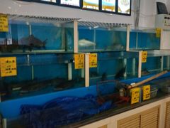 -大眼锅贴饺子(河西店)