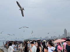 -星海广场