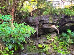 -燕晗山郊野公园