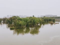 -灞河西岸滨河公园