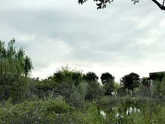 -天目湖涵田半山温泉
