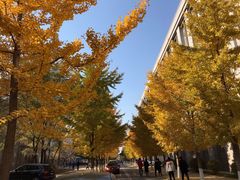 -东北大学(南湖校区)