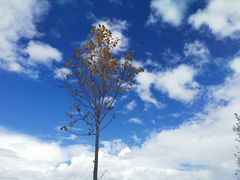 -丽江泸沽湖景区