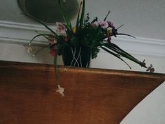 -若石足道SPA 连锁(丹东街店)