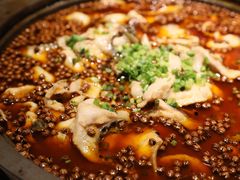 -猫头婴小酒馆FUN OWL(1912店)