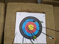 -蓝天射箭馆·专业射箭运动(诚丰广场店)