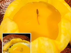 金瓜海鲜肉羹-鱼桥巷·美学川菜