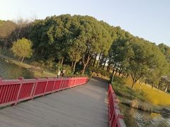 -美兰湖景区