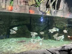 -石家庄海洋公园