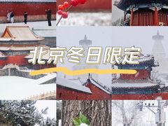 -故宫博物院(故宫)